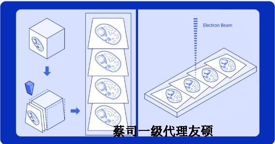 大兴安岭蔡司大兴安岭扫描电镜